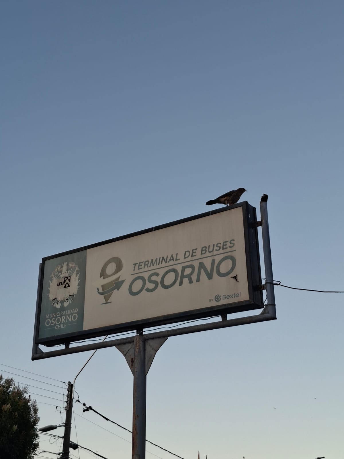 Osorno